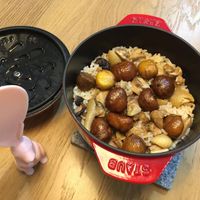 未提供相片說明。