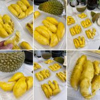 未提供相片說明。