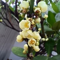 未提供相片說明。