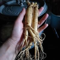 未提供相片說明。