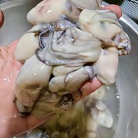 未提供相片說明。