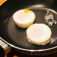 未提供相片說明。