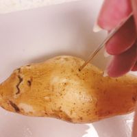 未提供相片說明。