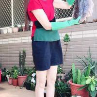 未提供相片說明。