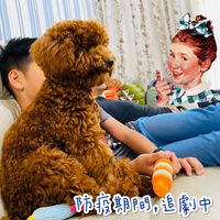 未提供相片說明。