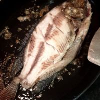 未提供相片說明。