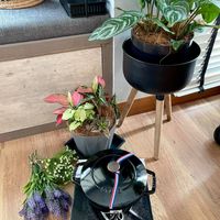 未提供相片說明。