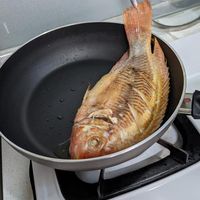 未提供相片說明。