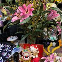 未提供相片說明。