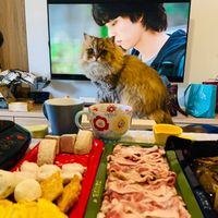 未提供相片說明。
