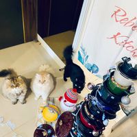 未提供相片說明。