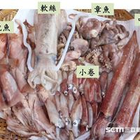 未提供相片說明。