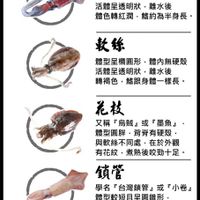 未提供相片說明。