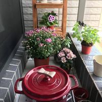未提供相片說明。