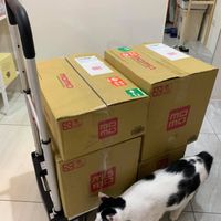 未提供相片說明。