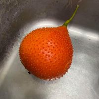 未提供相片說明。