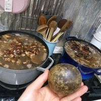 未提供相片說明。