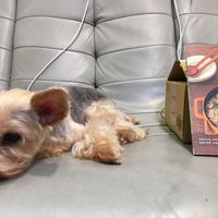 未提供相片說明。