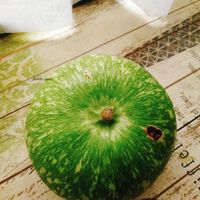 未提供相片說明。