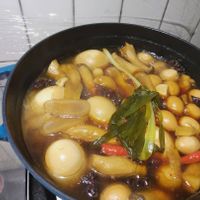未提供相片說明。