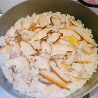 未提供相片說明。