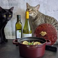 未提供相片說明。