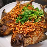 未提供相片說明。