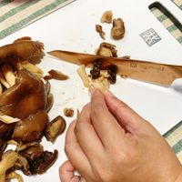 未提供相片說明。