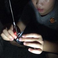 未提供相片說明。