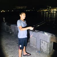 未提供相片說明。