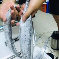 未提供相片說明。