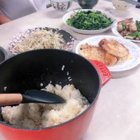 未提供相片說明。