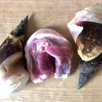 未提供相片說明。