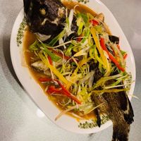 未提供相片說明。