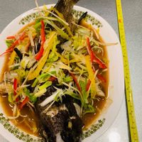 未提供相片說明。