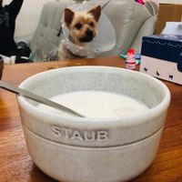 未提供相片說明。