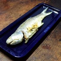 未提供相片說明。