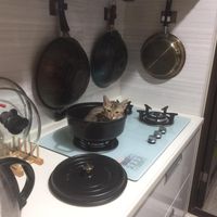 未提供相片說明。