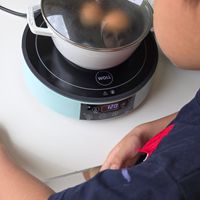 可能是 1 人、鬆餅機、泡茶器和顯示的文字是「 WOLL 120 1e （ート) 」的圖像