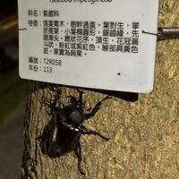 可能是文字的圖像