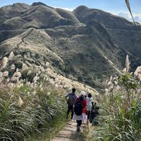 可能是 4 個人、山和草的圖像