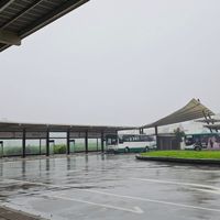 可能是 1 人、霧和皇后大橋的圖像