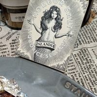 可能是‎顯示的文字是「 ‎R N 小尚者 R SomN vo SALT D spec Green חוסחסם ISLANDIA ALT CE Εα STAUB‎ 」‎的圖像