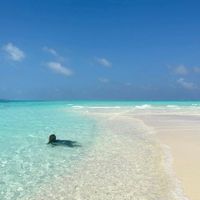 可能是游泳、地平線、海洋和海灘的圖像