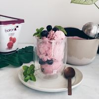 可能是義式冰淇淋、草莓和顯示的文字是「 boiron 15 FEAMBONSE RASPBERRT 」的圖像