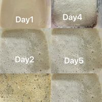 可能是豆腐、粥和顯示的文字是「酸種起種 Day1 Day4 Day2 Day5 Day3 Day6 」的圖像