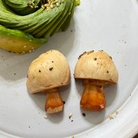 可能是香菇的圖像