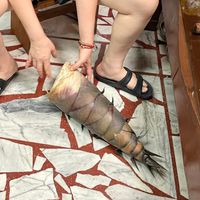 可能是 1 人的圖像