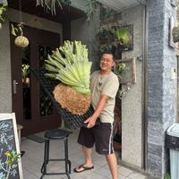 可能是 1 人和槲寄生仙人掌的圖像