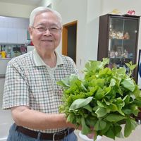 可能是 1 人和紫蘇的圖像